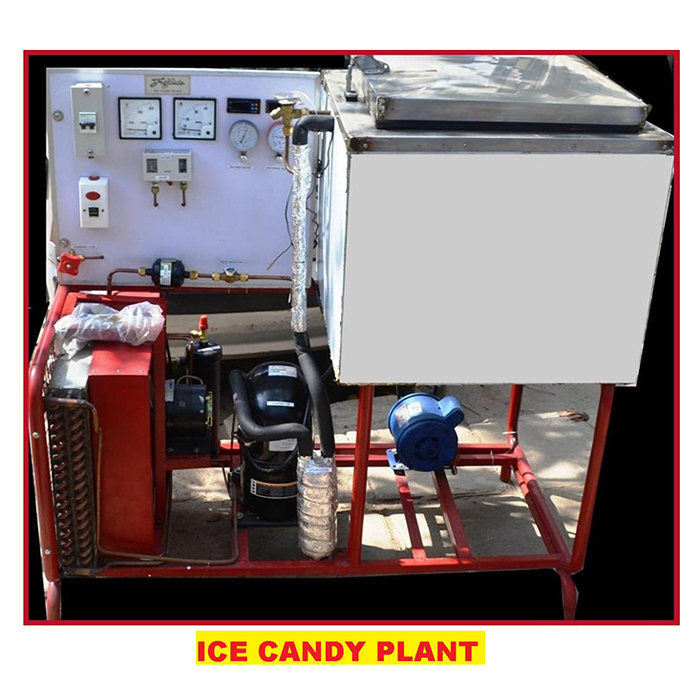 Ice Candy Plant